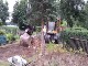 Garten 2017