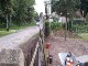 Garten 2017