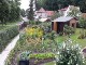 Garten 2017