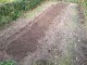 Garten 2017