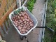 Garten 2017