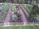 Garten 2017