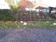 Garten 2017