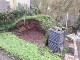 Garten 2017
