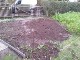 Garten 2017