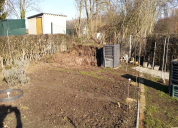 Garten 2019