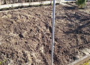 Garten 2019