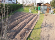 Garten 2019
