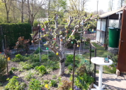 Garten 2019