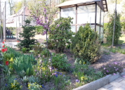 Garten 2019