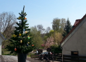 Garten 2019