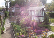 Garten 2019