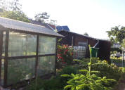 Garten 2019
