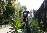 Garten 2019