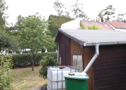 Garten 2019