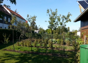 Garten 2019