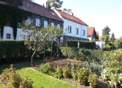 Garten 2019