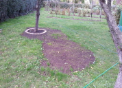 Garten 2019