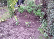 Garten 2019