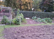 Garten 2019