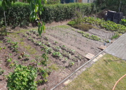 Garten 2020