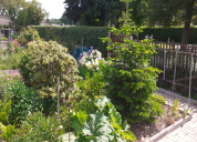 Garten 2020