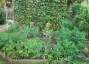 Garten 2020