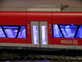 BR 650