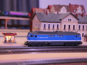 BR 231