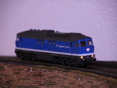 BR 231