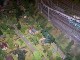 Modellbahn-Loxx-Berlin