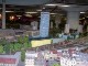 Modellbahn-Loxx-Berlin