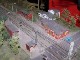Modellbahn in Berliner BW
