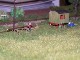 Modellbahn Leipzig