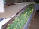 Miniatur Elbtalbahn