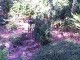 Gartenbahn in Taura