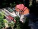 Gartenbahn in Taura