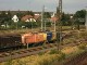 Connex