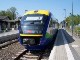 Connex
