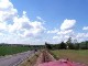 Döllnitzbahn