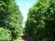 Döllnitzbahn