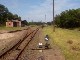 Döllnitzbahn