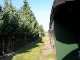 Döllnitzbahn