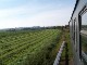 Döllnitzbahn
