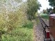 Führerstandsmitfahrt Mügeln